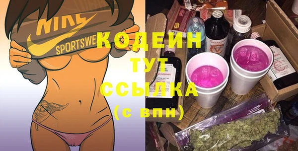амф Болотное