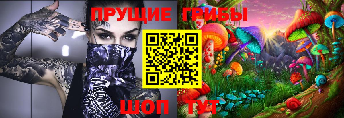 Псилоцибиновые грибы Cubensis  Псилоцибиновые грибы Cubensis  Лангепас  Вход с VPN 