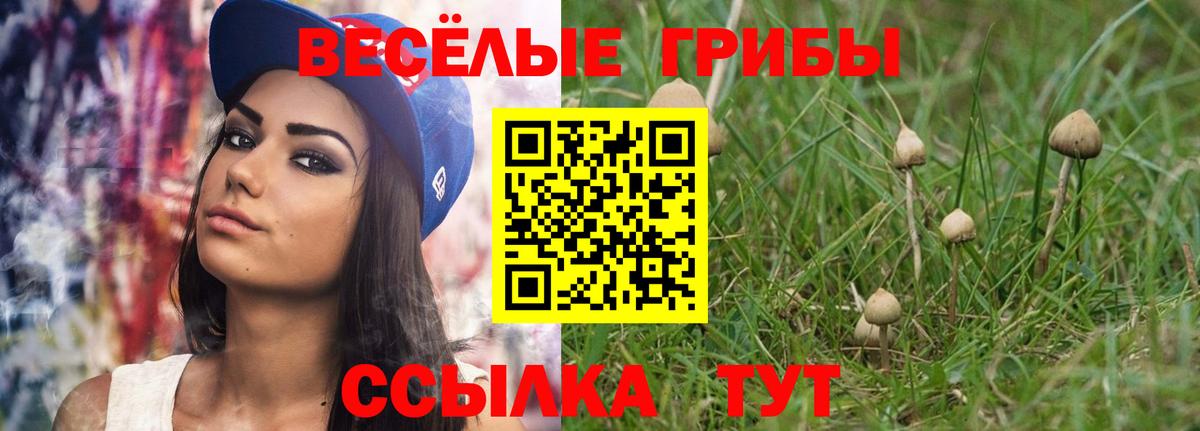 Псилоцибиновые грибы GOLDEN TEACHER Лангепас