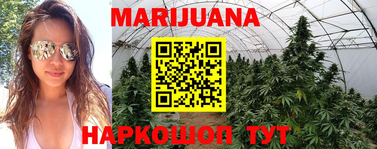Бошки Шишки план Лангепас